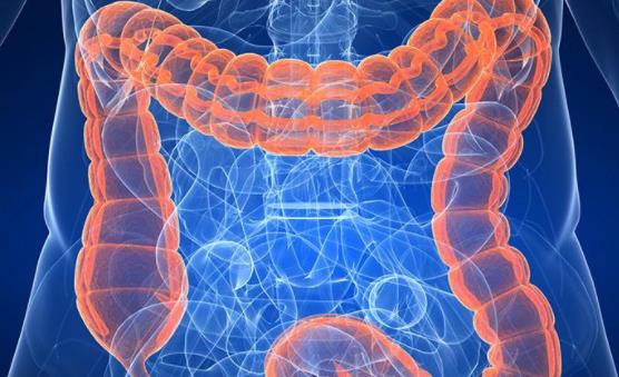 藤田醫(yī)科大學消化外科教授談日本結直腸癌的現(xiàn)狀