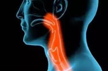 日本專家談腫瘤?頭頸癌